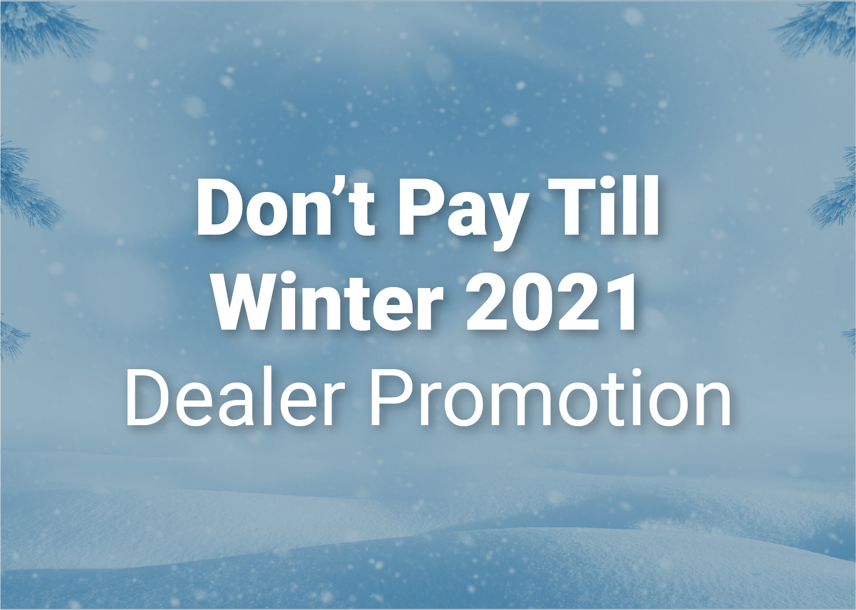 don't pay till winter 2021, dealer promotion